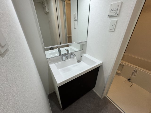 洗面設備　同マンションの同間取り201号室画像