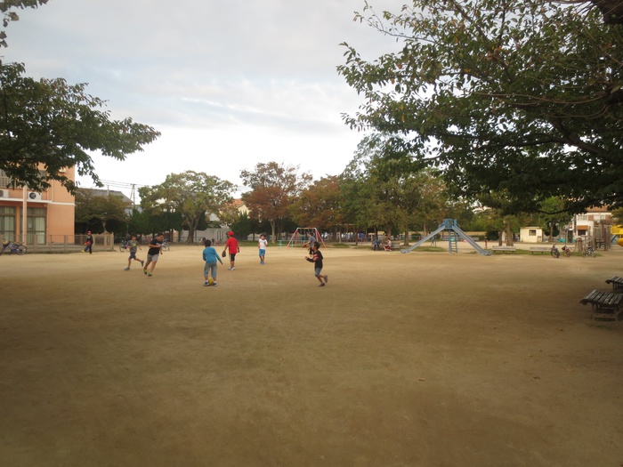 公園　昭和公園（公園）まで260m
