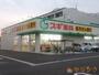 ドラックストア　スギ薬局比良店（ドラッグストア）まで546m
