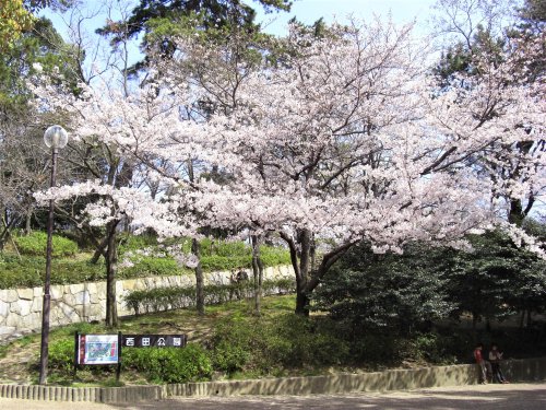 公園　西田公園（公園）まで531m