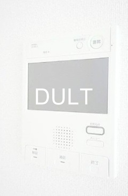 セキュリティ　モニター付きインターホンです。