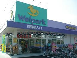 ドラックストア　Welpark(ウェルパーク) 日野栄町店（ドラッグストア）まで537m