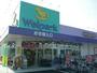 ドラックストア　Welpark(ウェルパーク) 日野栄町店（ドラッグストア）まで537m
