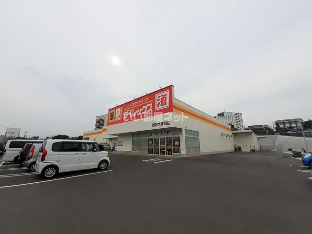 その他　ダイレックス 新潟大学前店（その他）まで732m