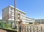 小学校　厚木市立依知南小学校（小学校）まで339m