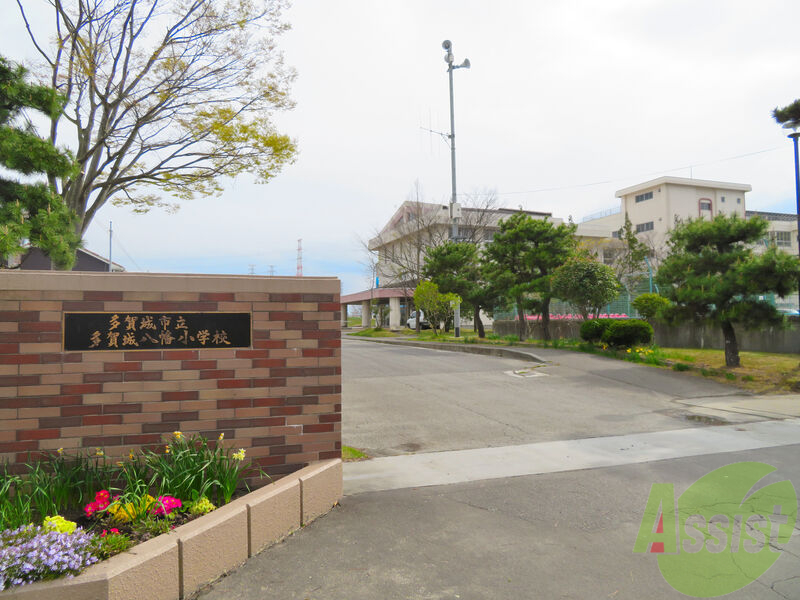 小学校　多賀城市立多賀城八幡小学校（小学校）まで1292m