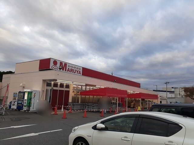 その他　スーパーマルヤ　沼南店（その他）まで1055m