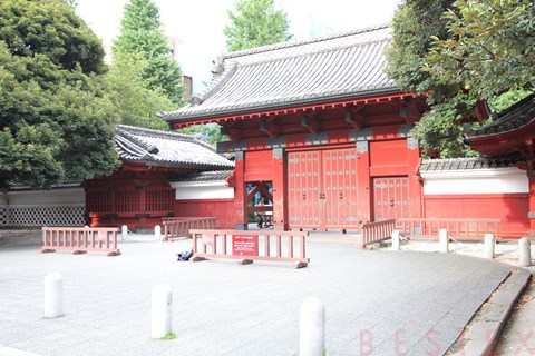 大学・短大　東京大学（大学・短大）まで100m