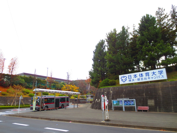 大学・短大　日本体育大学（大学・短大）まで1300m