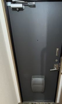 玄関　同仕様