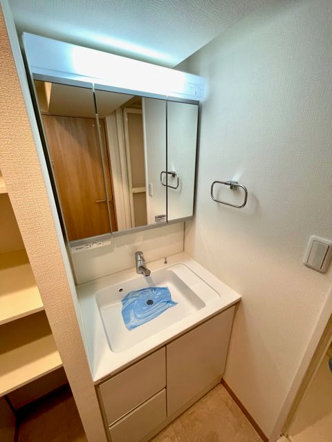 洗面設備　※別部屋の参考写真です。