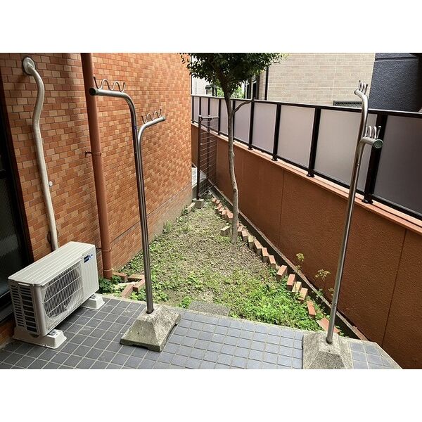 庭