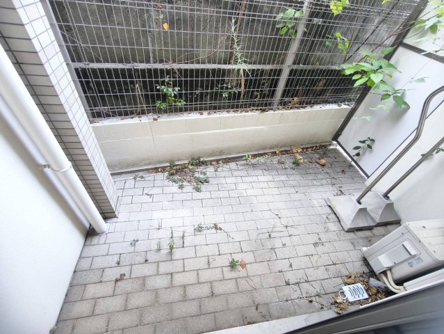 庭