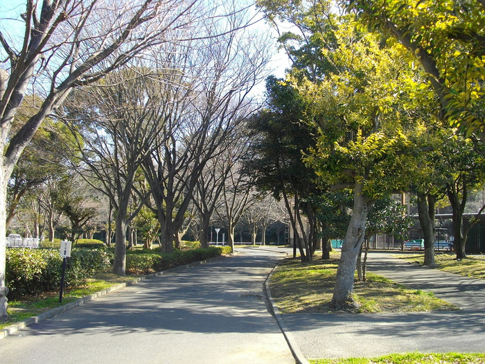 公園　野島公園（公園）まで296m