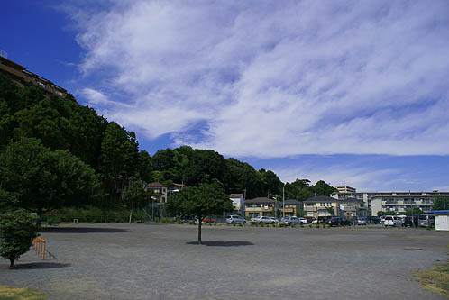 公園　南沢広場（公園）まで1128m
