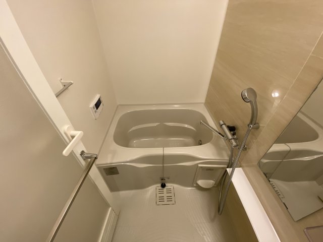 バス・シャワールーム　落ち着いた空間のお風呂です