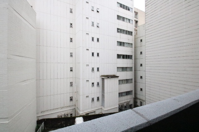 眺望　※別室の参考写真の為、現況優先です。