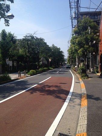 その他　近くの桜並木。