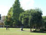 公園　明保野公園（公園）まで1311m