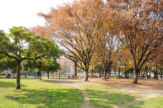 公園　都立青山公園（公園）まで1037m