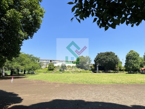 公園　文理台公園（公園）まで243m