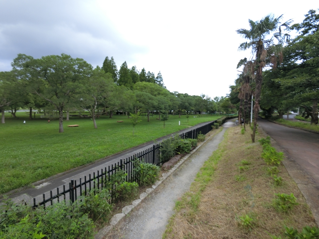 公園　水元公園（公園）まで1433m