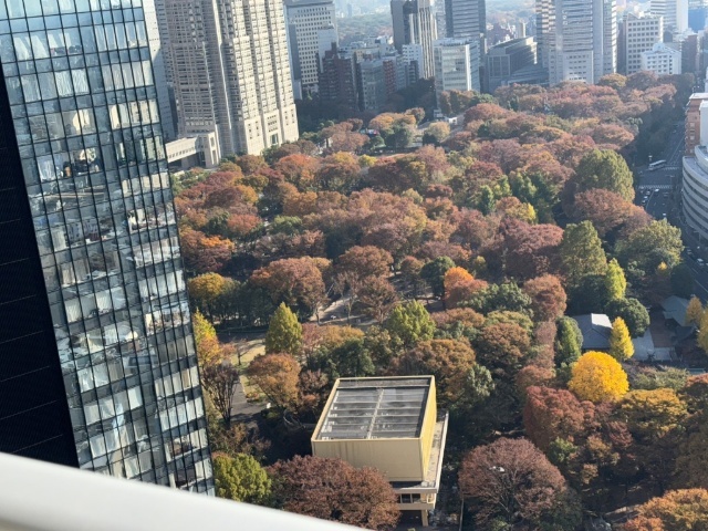 コンシェリア西新宿TOWER’S WESTのその他写真