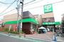 スーパー　サミットストア下馬店（スーパー）まで515m