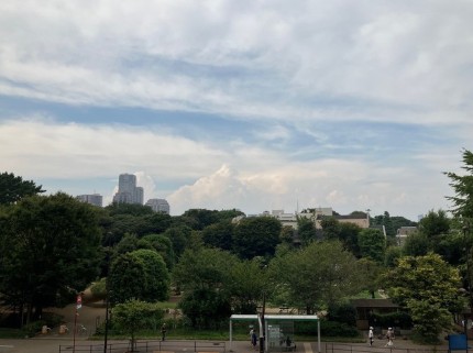 眺望　他部屋参考写真