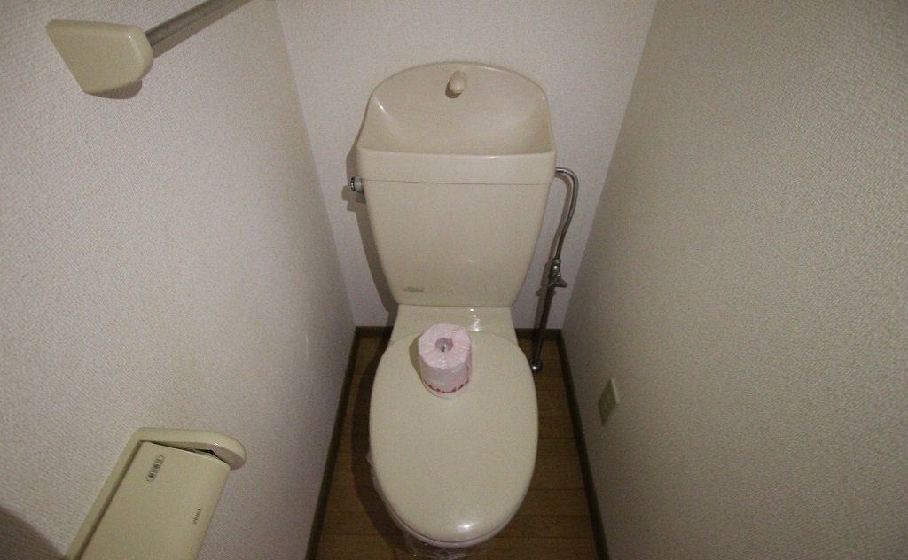 ＪＲ福塩線 高木駅 徒歩10分 2階建 築26年のトイレ写真