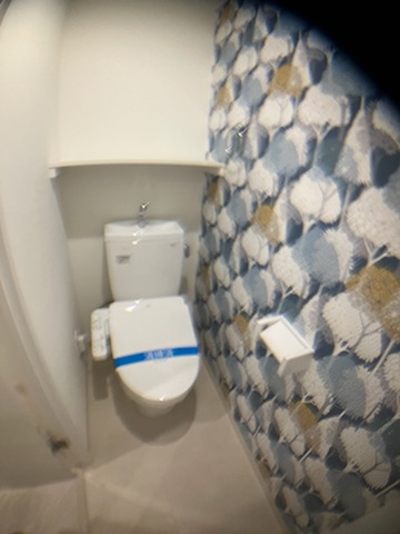 ADVANCE IWATAのトイレ写真