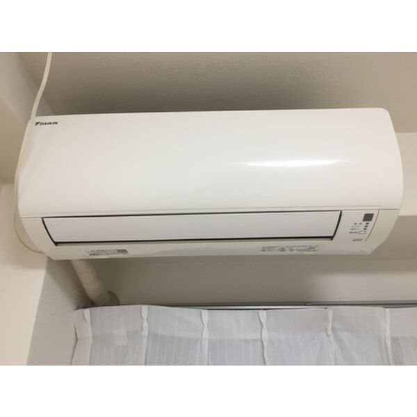 ゴールドクレストのその他写真