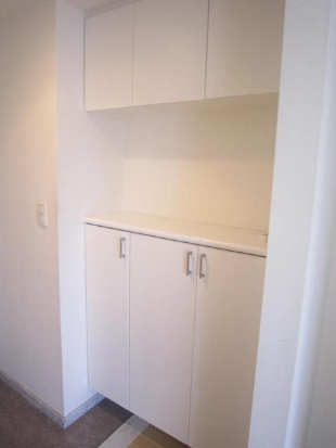 玄関　パークアクシス錦糸町 ※別部屋参照
