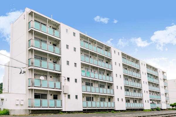 ビレッジハウス白野江5号棟の外観写真