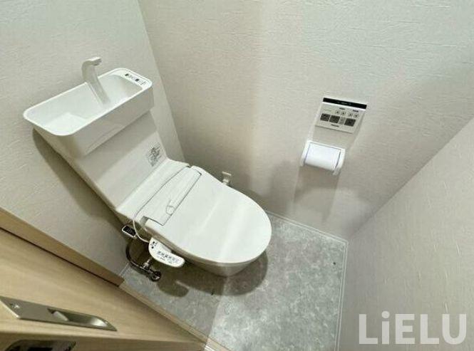 ＪＲ仙石線 榴ケ岡駅 徒歩13分 2階建 築3年のトイレ写真