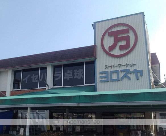 マオ コリーヌの周辺写真