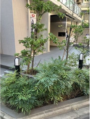 庭