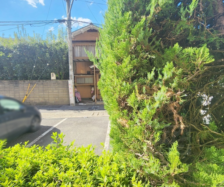 眺望