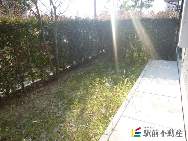 庭