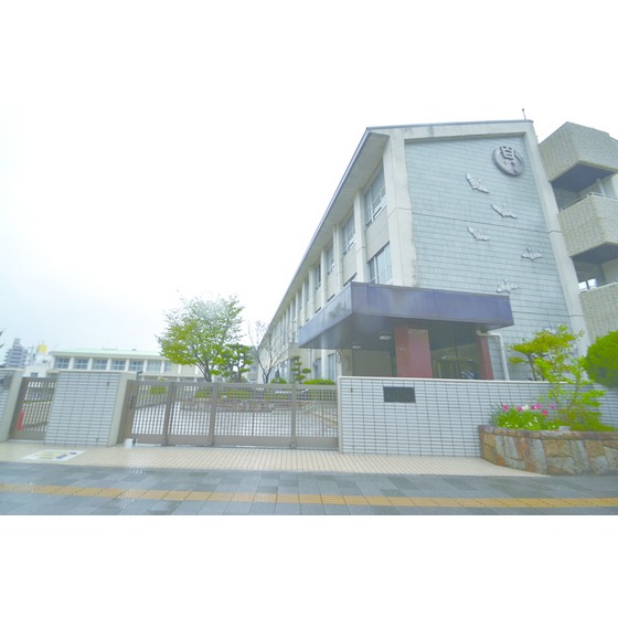 小学校　白鳥小学校（小学校）まで1000m