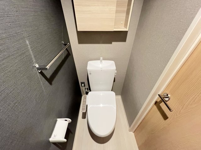 ザ・アパートメント谷上のトイレ写真