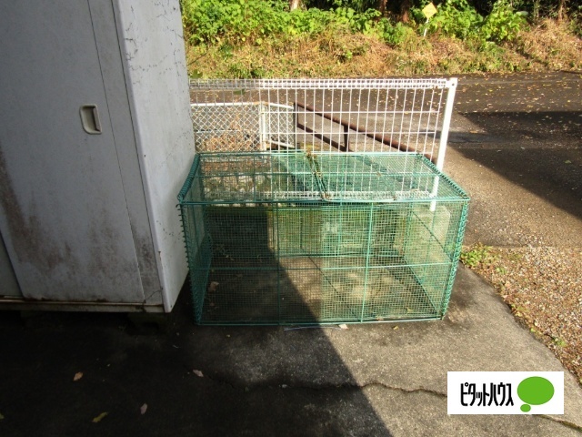 諏訪山マンションのその他写真