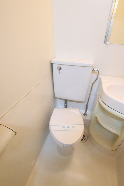 【ドミール山田Ａ棟のトイレ】
