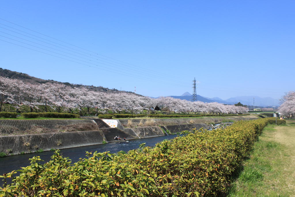 【サンハイツ淀師のその他】