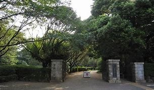 【ＴＨＥパームス代々木上原ヴェールテラスの公園】