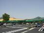 スーパー　ツルヤ御代田店（スーパー）まで1515m