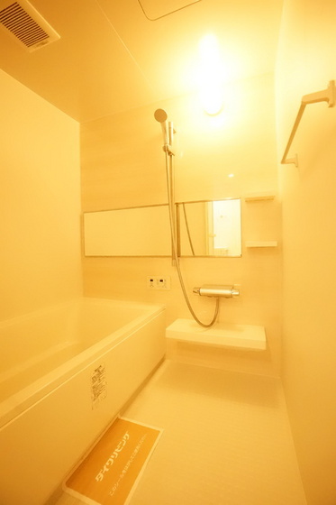 バス・シャワールーム　他号室のお写真です