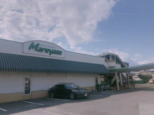 スーパー　マルヤス（スーパー）まで1208m