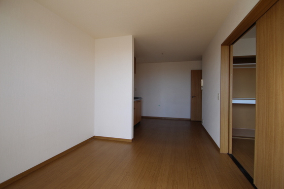 居室・リビング　※他号室の写真です。