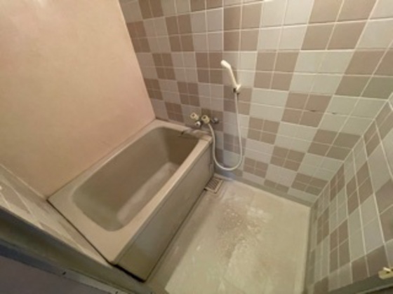 バス・シャワールーム　※別号室の写真です。